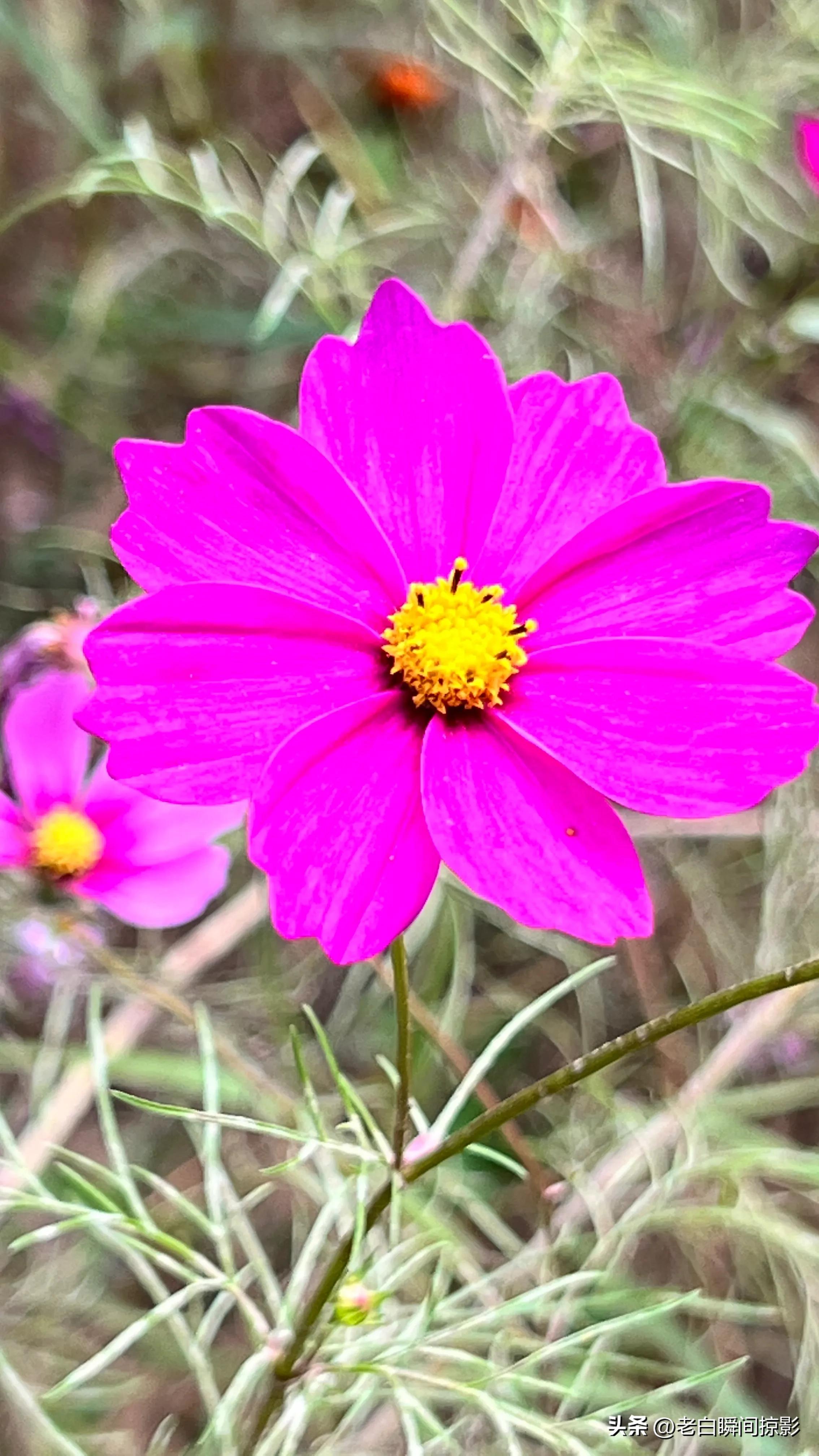 人不能闲着一闲就会多事,人不能闲着一闲就想太多
