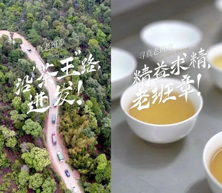 春茶产品营销策略分析,春茶营销