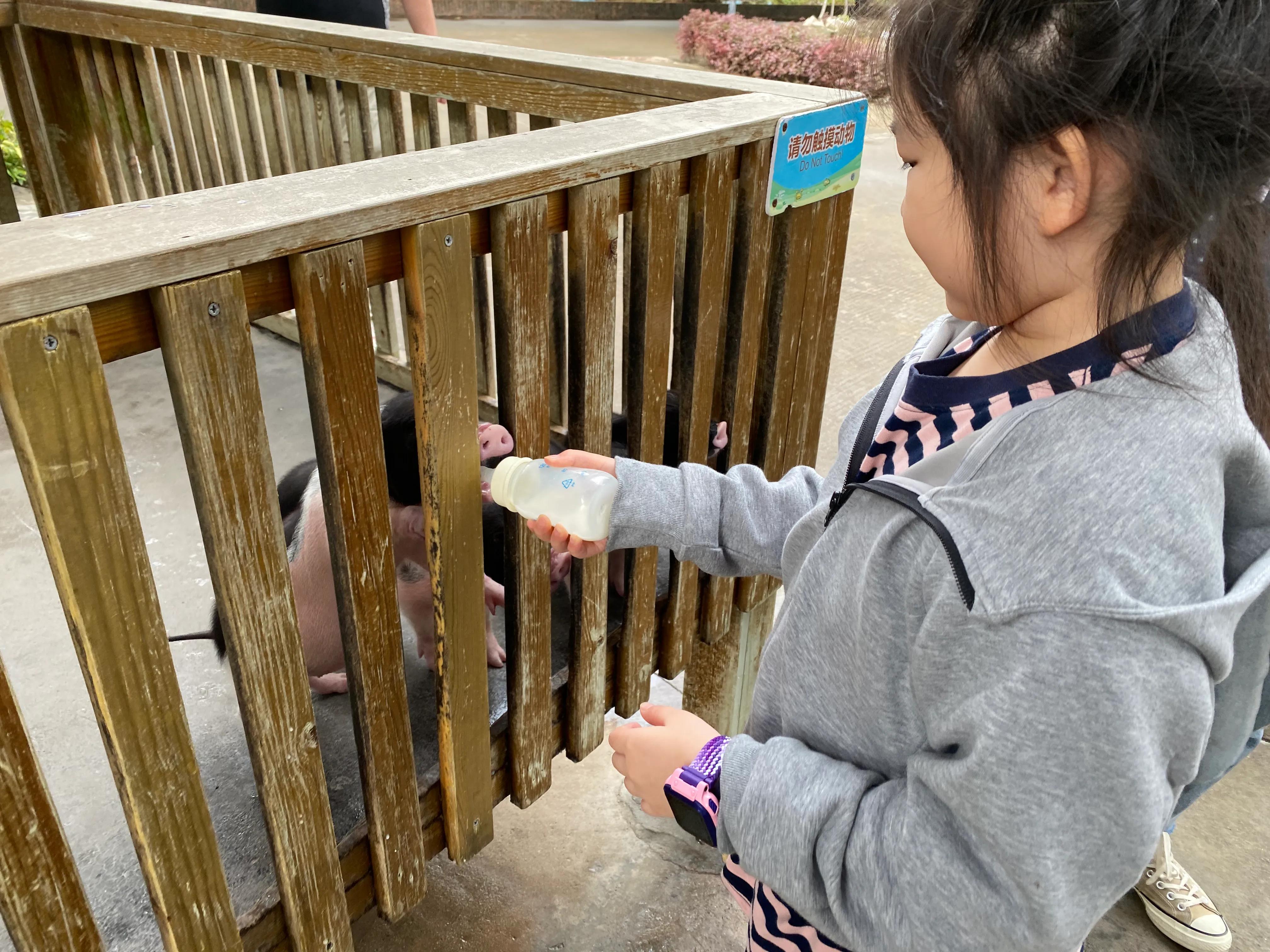 广州长隆度假区游玩攻略预算,广州长隆度假区最全游玩攻略