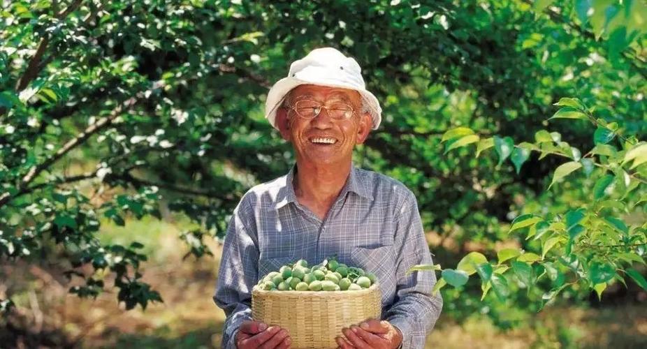 贫困地区农业发展现状,扶贫农业发展前景