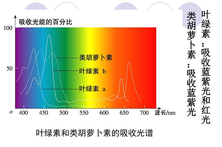 高中生物细胞代谢产生什么物质,高中生物细胞代谢视频