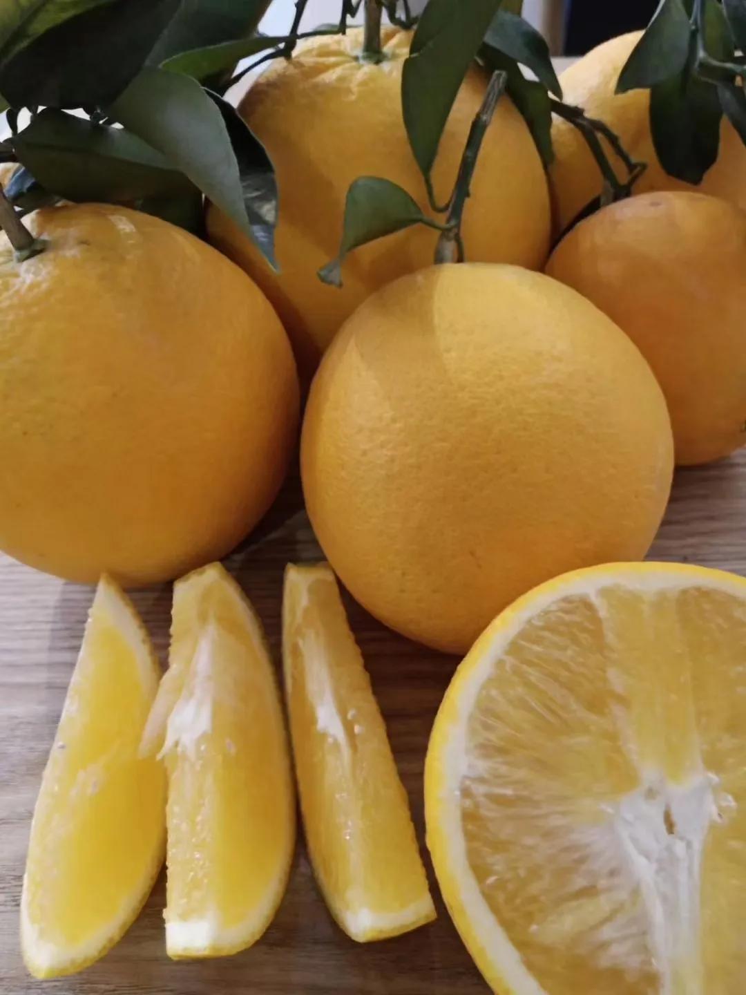 同样是赣南脐橙为何价格差距巨大,赣南寻乌脐橙价格表