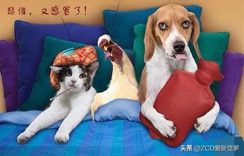 儿时取暖神器哪个好,小时候竹编取暖神器