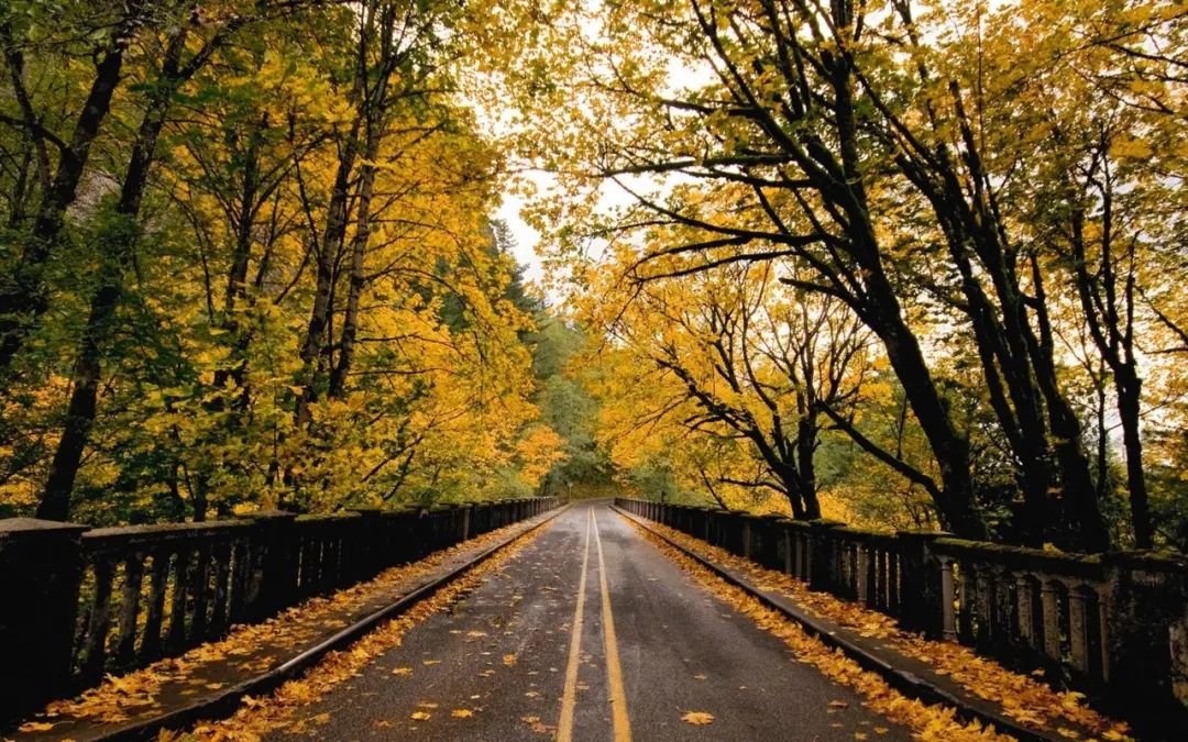 家乡的风俗包饺子600字六年级作文,家乡风俗作文六年级700个字下册