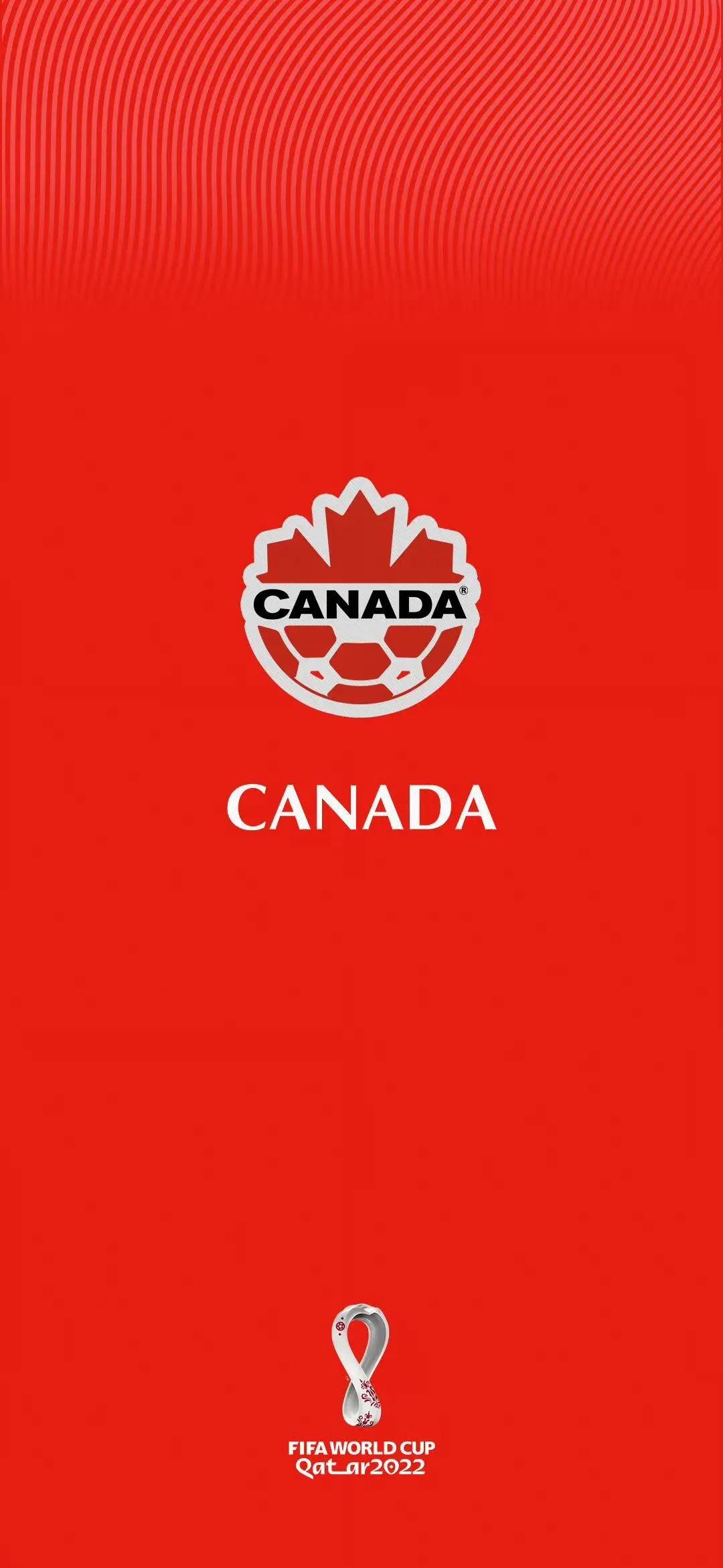 足球壁纸2020年,世界杯足球壁纸手机高清无水印