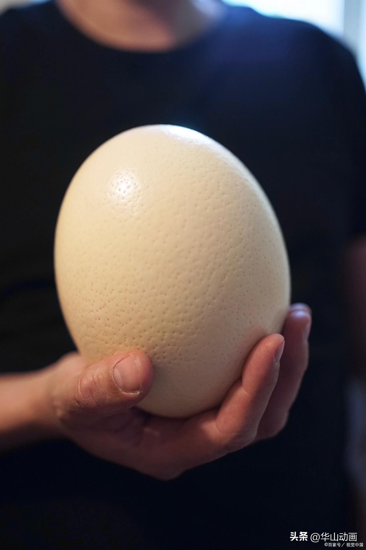 孙悟空是天地所生的吗,孙悟空是石头生出来的