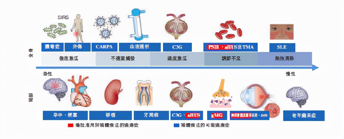 北海康成罕见病,北海康成法布雷