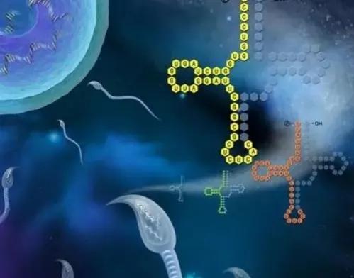精子dna碎片率过高可以试管吗,精子dna碎片率偏高怎么治疗