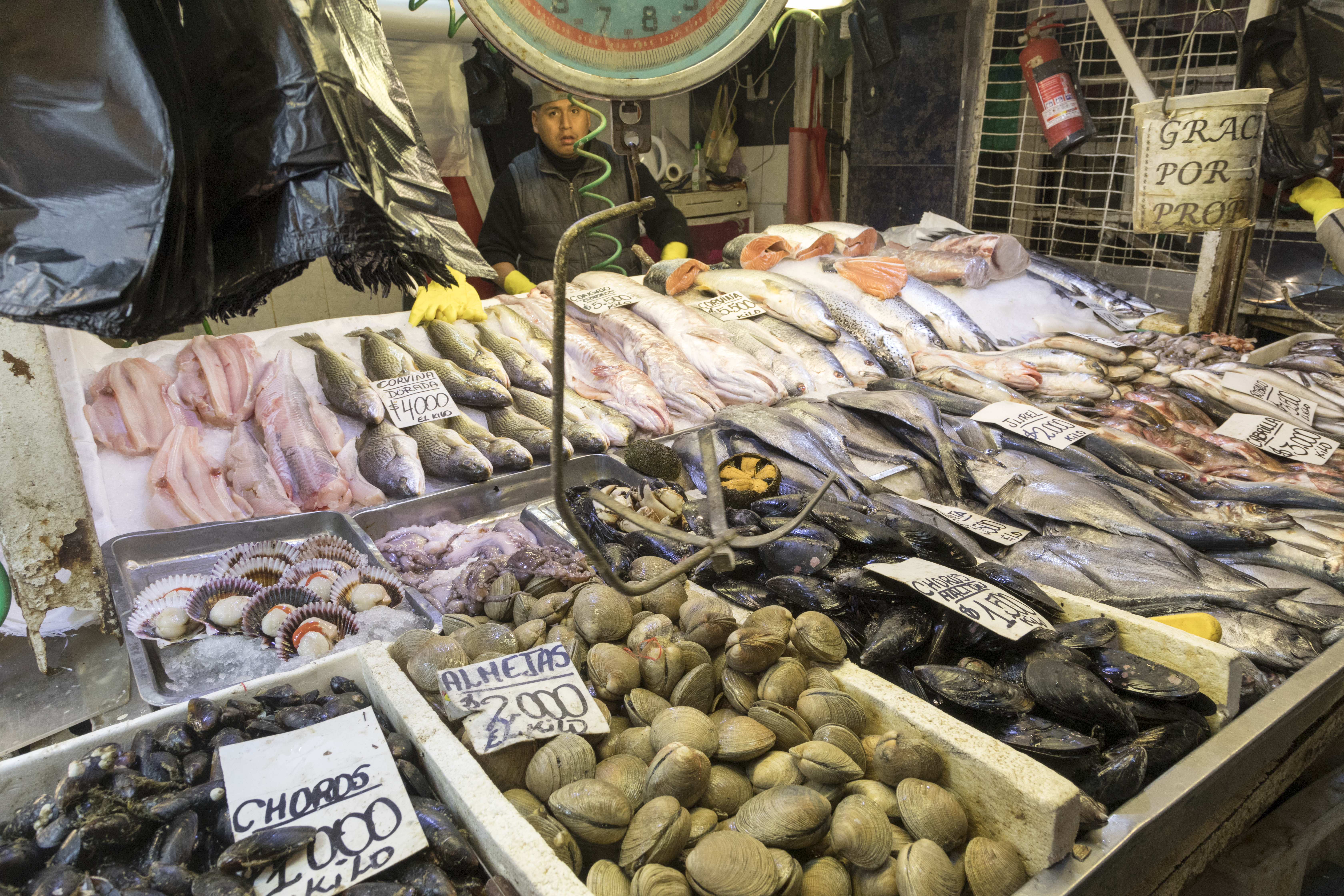 智利的海鲜便宜吗,智利海鲜市场