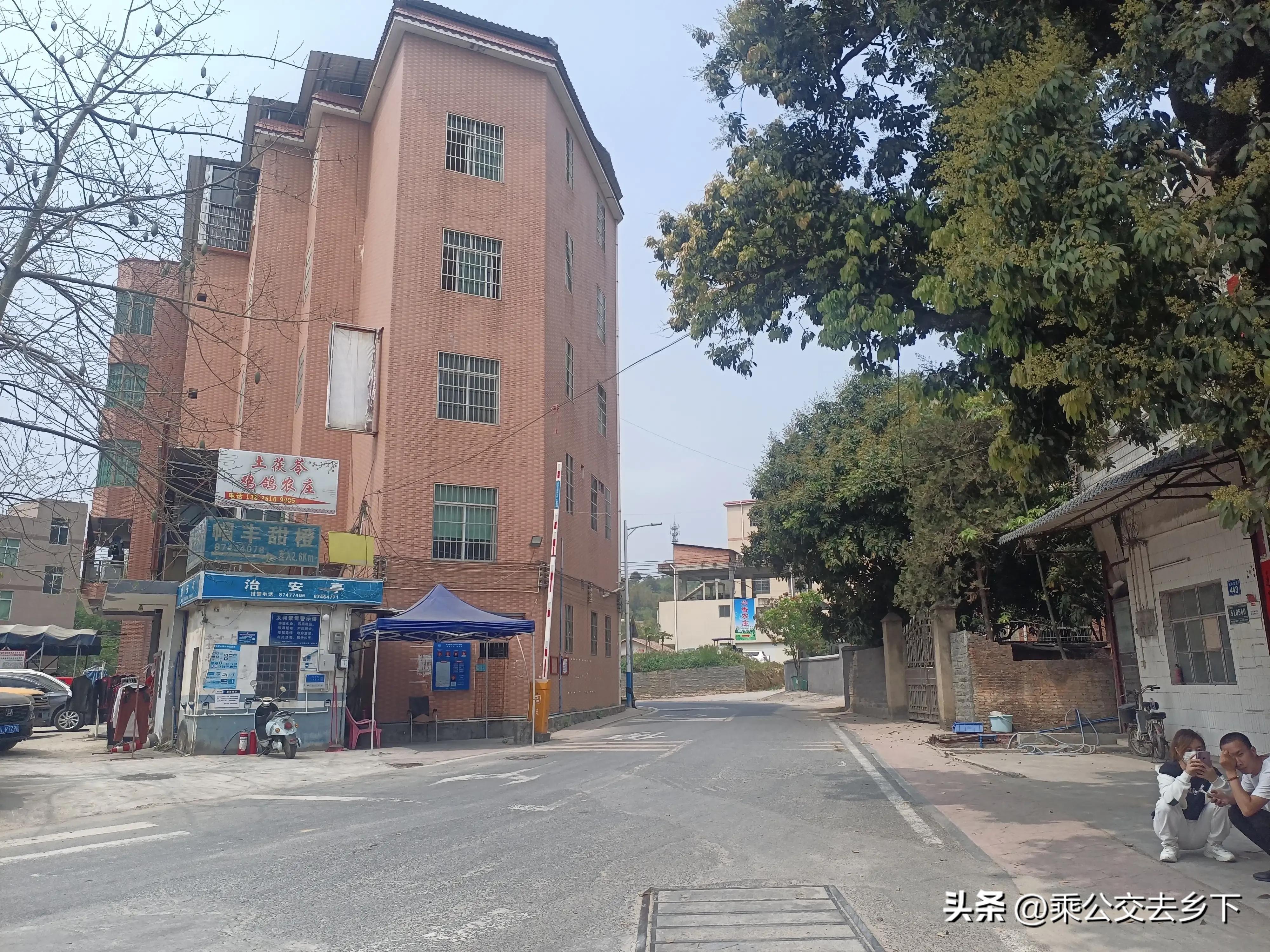 穗丰村-一所学校带来的繁荣