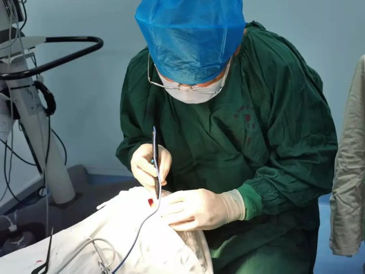 眼皮里长了个小疙瘩是癌吗,下眼睑长了白色凸起小块会是癌吗