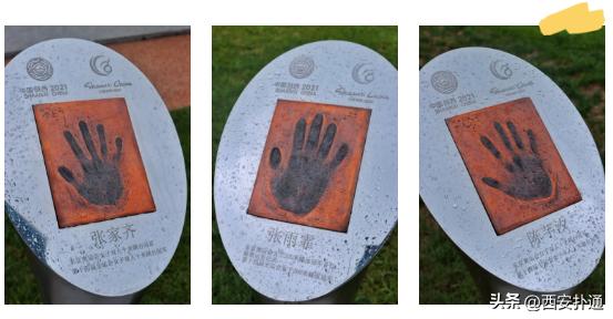 2022西安奥体中心喷泉开放时间,西安奥体中心游泳馆对外开放了吗