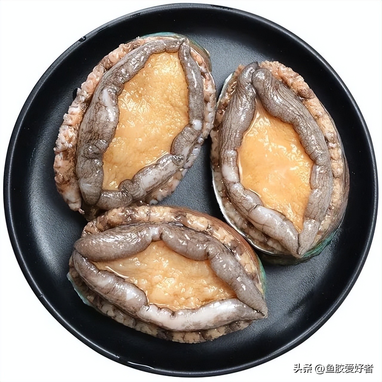 干鲍质量好怎样挑选,干鲍怎么选择