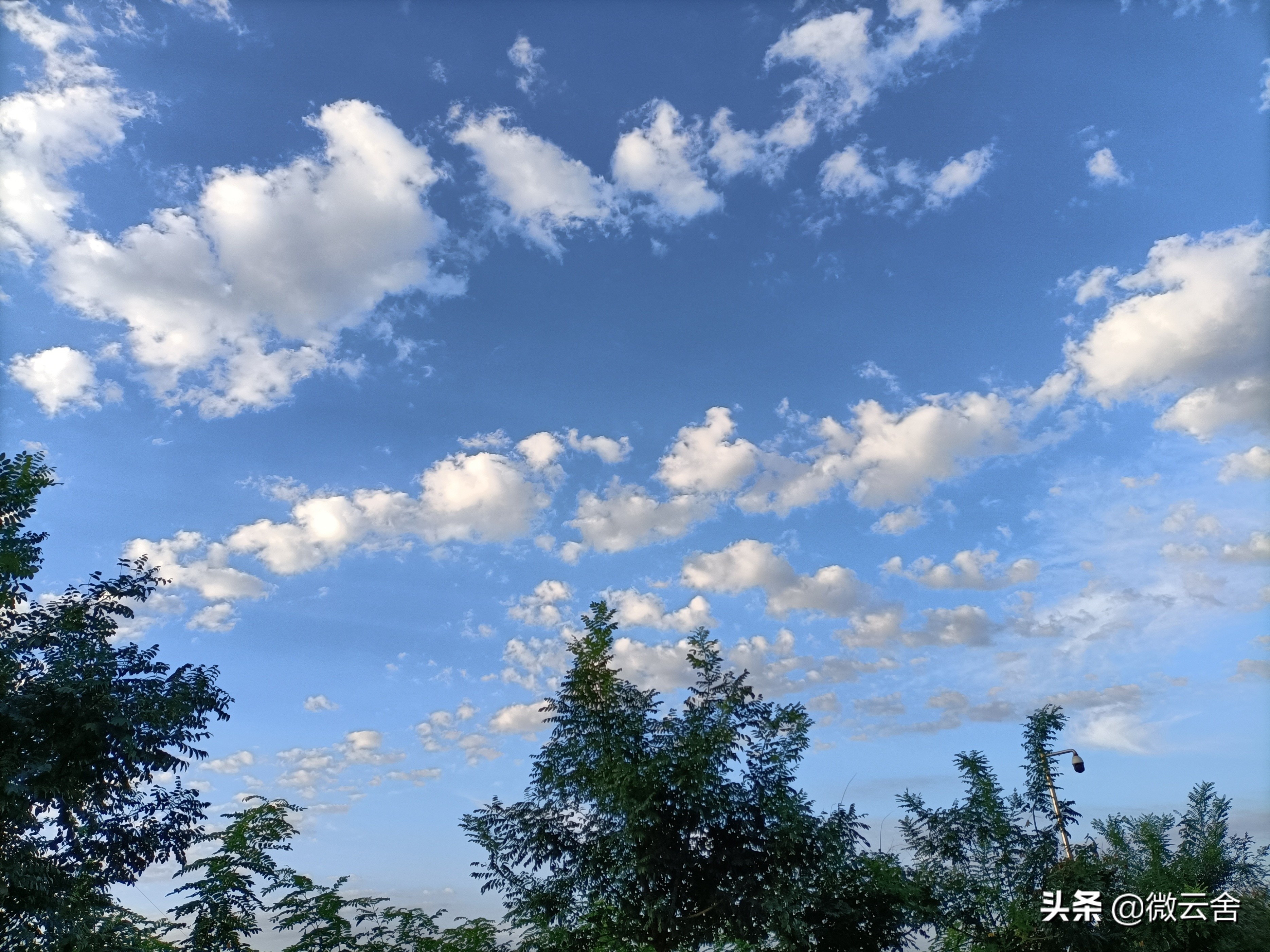 读古诗随感,读朗朗上口的诗歌感想