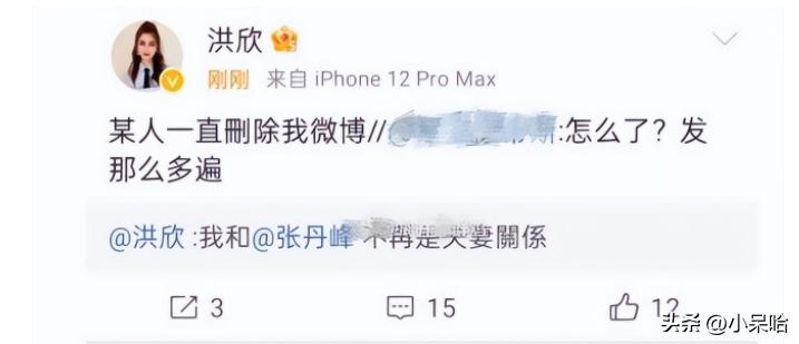 洪欣当年在娱乐圈有多红,洪欣为什么没火了