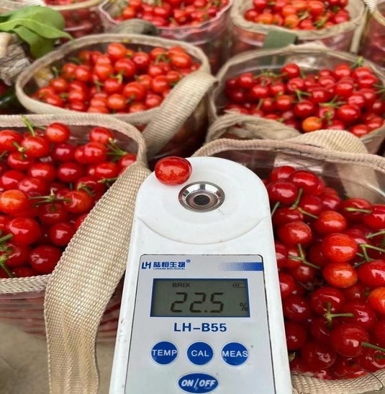 苹果和车厘子的故事,苹果和车厘子是高糖水果吗