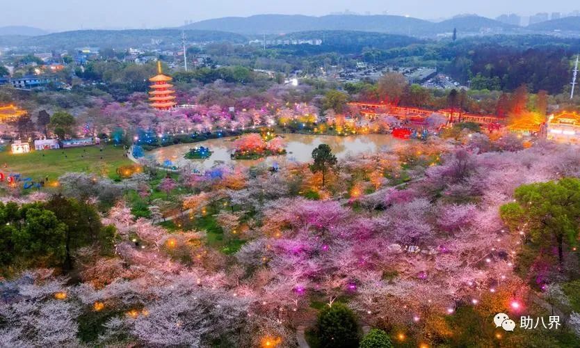 武汉必打卡的十大景点介绍,武汉南湖网红打卡景点