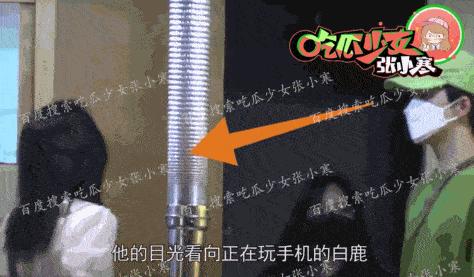 白鹿许凯绯闻什么时候的,许凯和周冬雨有绯闻吗