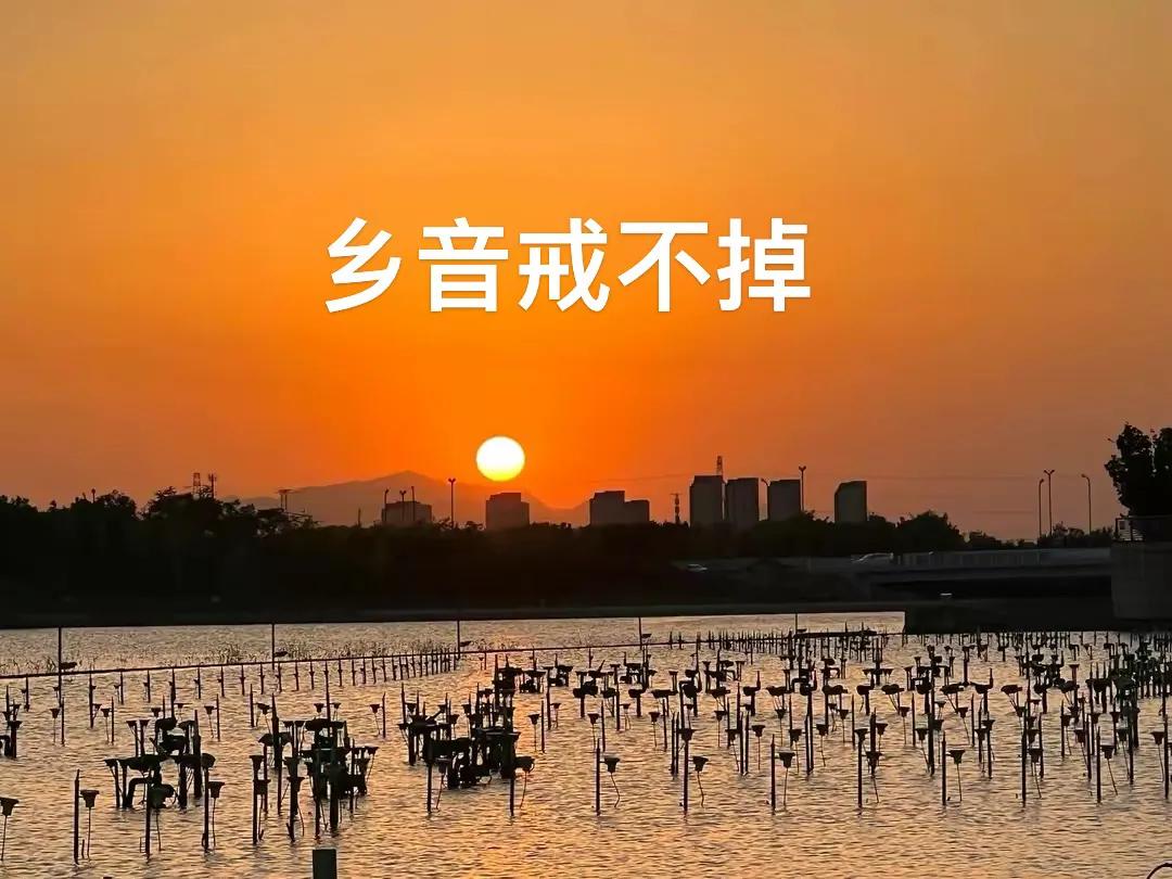 未经配偶同意婚内炒股亏损承担,夫妻共同财产一方私自炒股