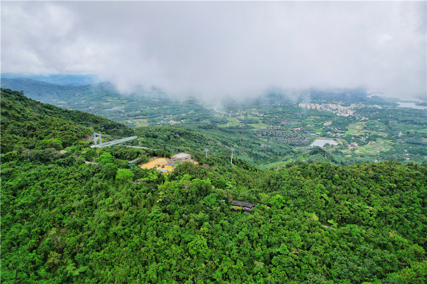 海南东线自驾乡村游攻略,海南原始村落自驾游