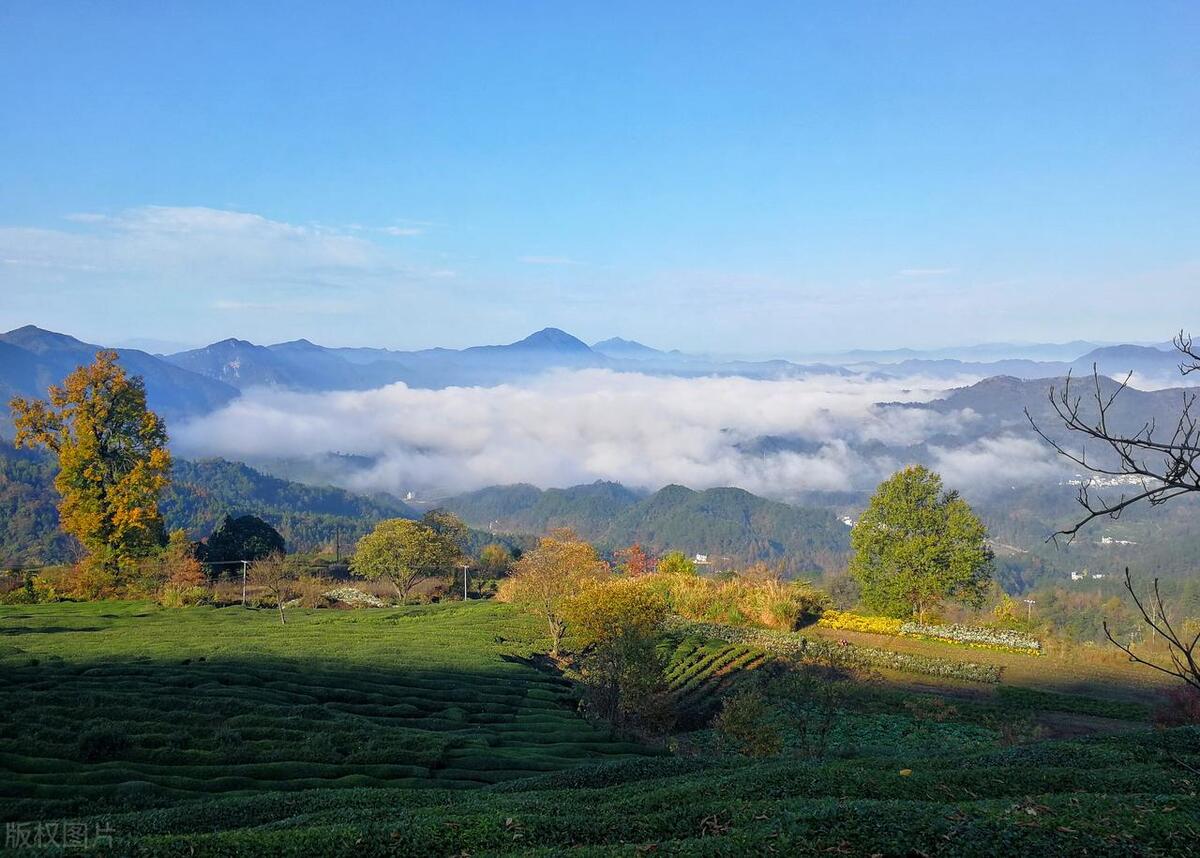 人这辈子一定要扔掉的四样东西,人染上什么坏毛病这辈子就废了