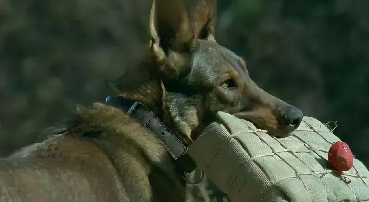 假借拍戏之名，却行“霸凌”之举，演员们的“假戏真做”令人胆颤