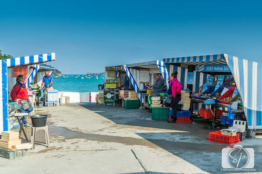生蚝之都康卡勒：凯撒大帝太阳王拿破仑三世青睐，美味流传两千年