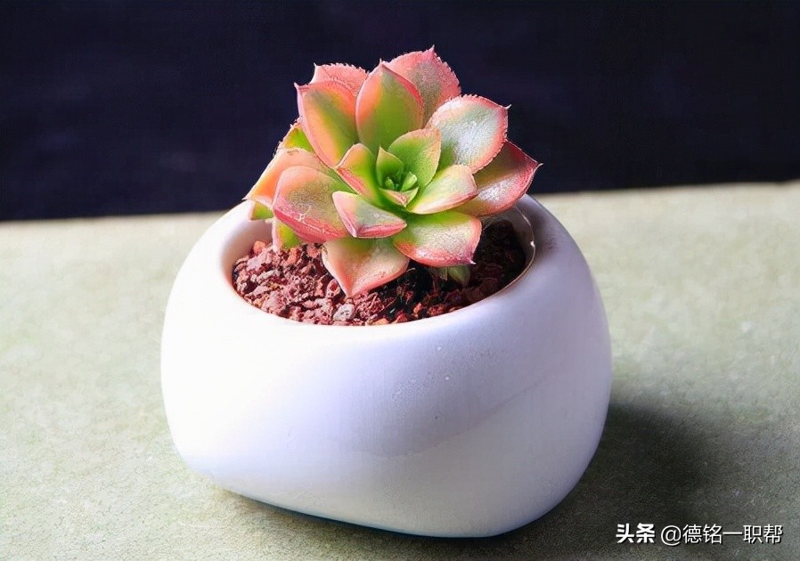 考个大专证要什么学历证书,2015年民办大专学历学信网可查吗