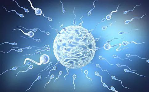 人体的精子是如何产生的,人的精子怎么样才能存活