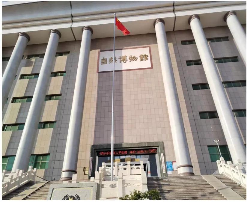 平邑围棋大会,平邑最新围棋视频