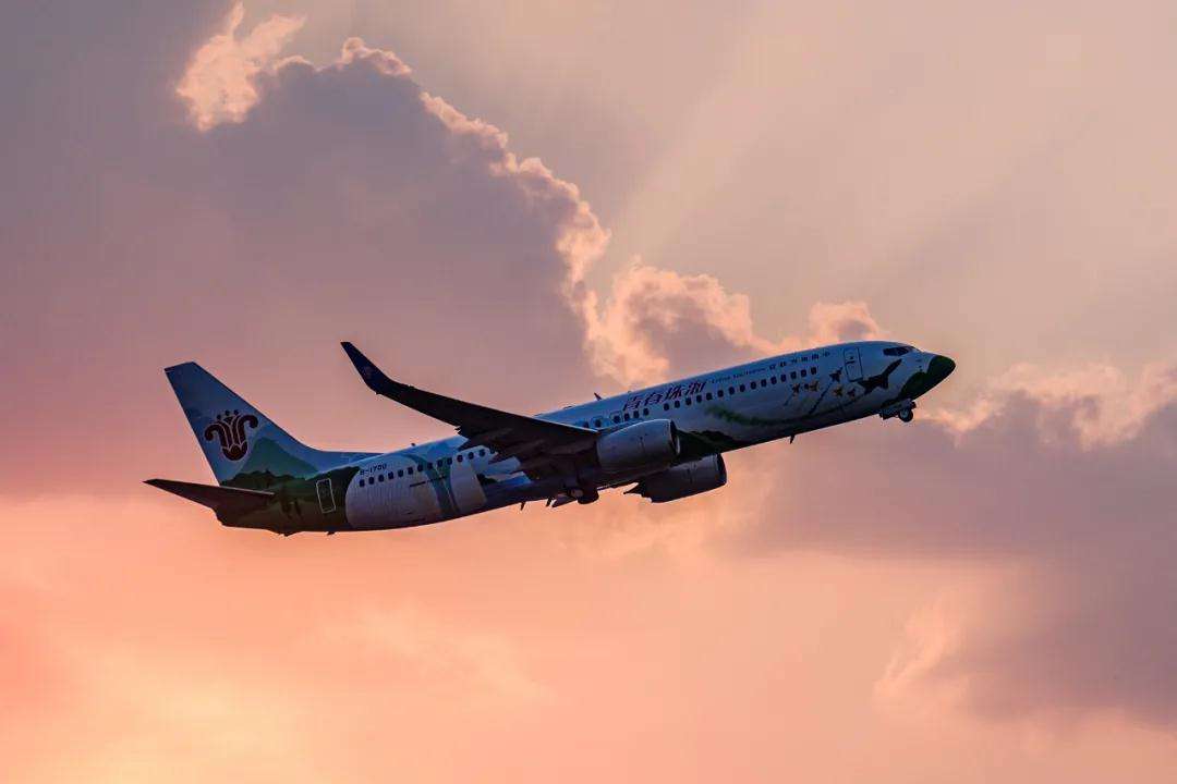 空姐发自拍被开除视频,空姐发工作照空姐被开除