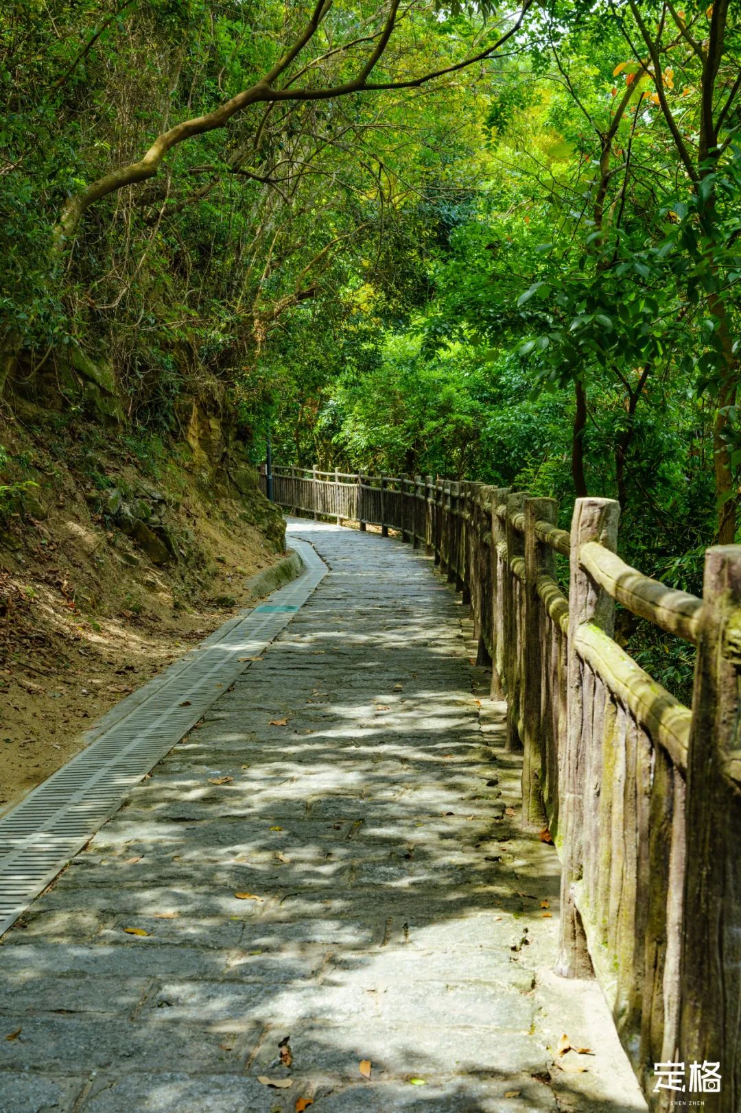 深圳极少人知的沙滩，要火