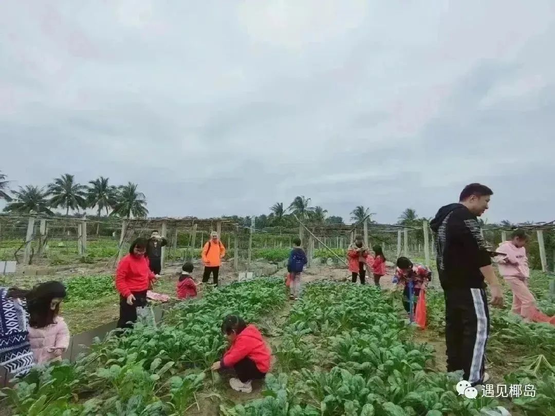 文昌月亮湾景区网红民宿,文昌旅游攻略民宿