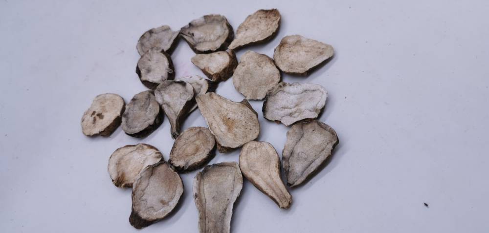 中医治疗心力衰竭,中医心力衰竭气虚血瘀如何治疗