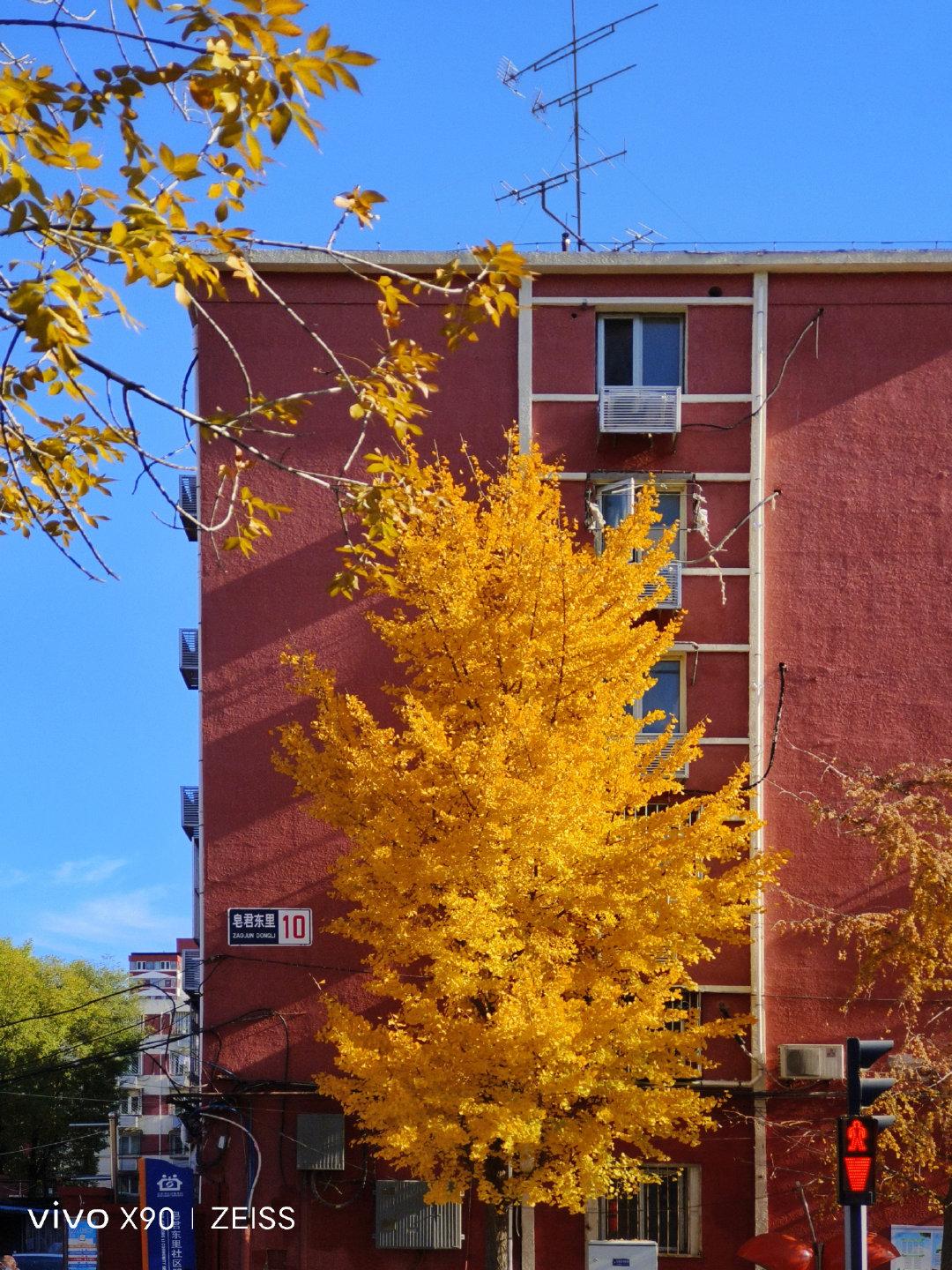 vivox90白色版好吗,vivox90白色版好看吗