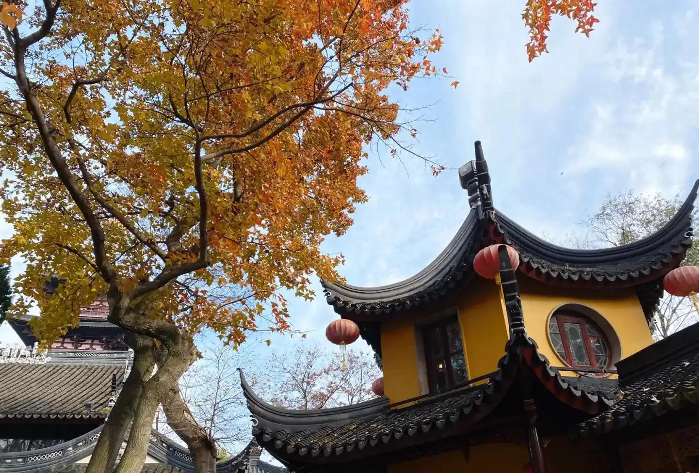 苏州秋季旅游最值得去的地方,苏州赏秋一日游攻略