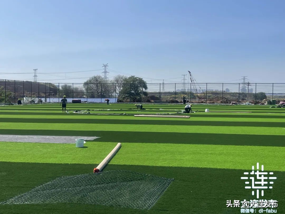 金普新区56项重点任务,金普新区规划项目在哪建设