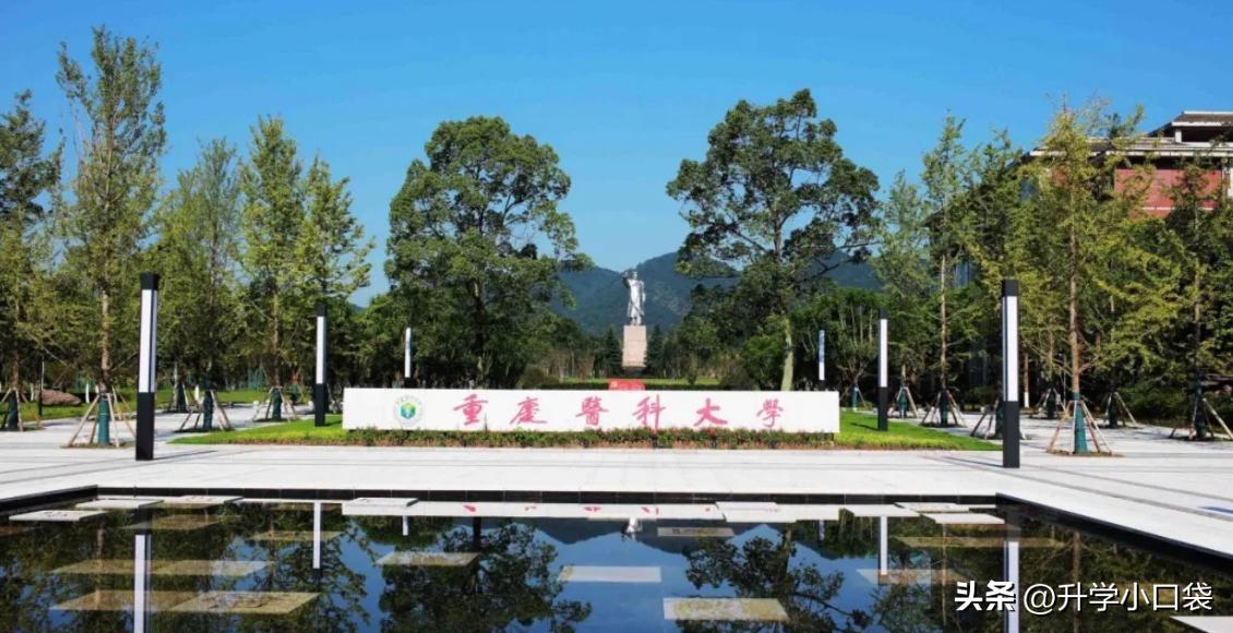 重庆高校保研率排名，重庆医科大学保研率9%，排名第三