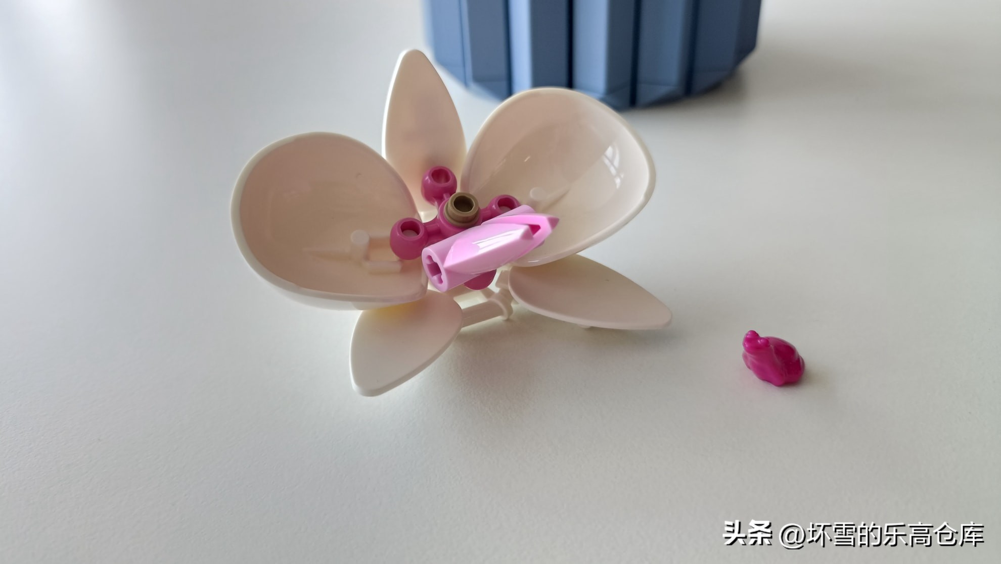 乐高兰花图片及价格,乐高兰花测评