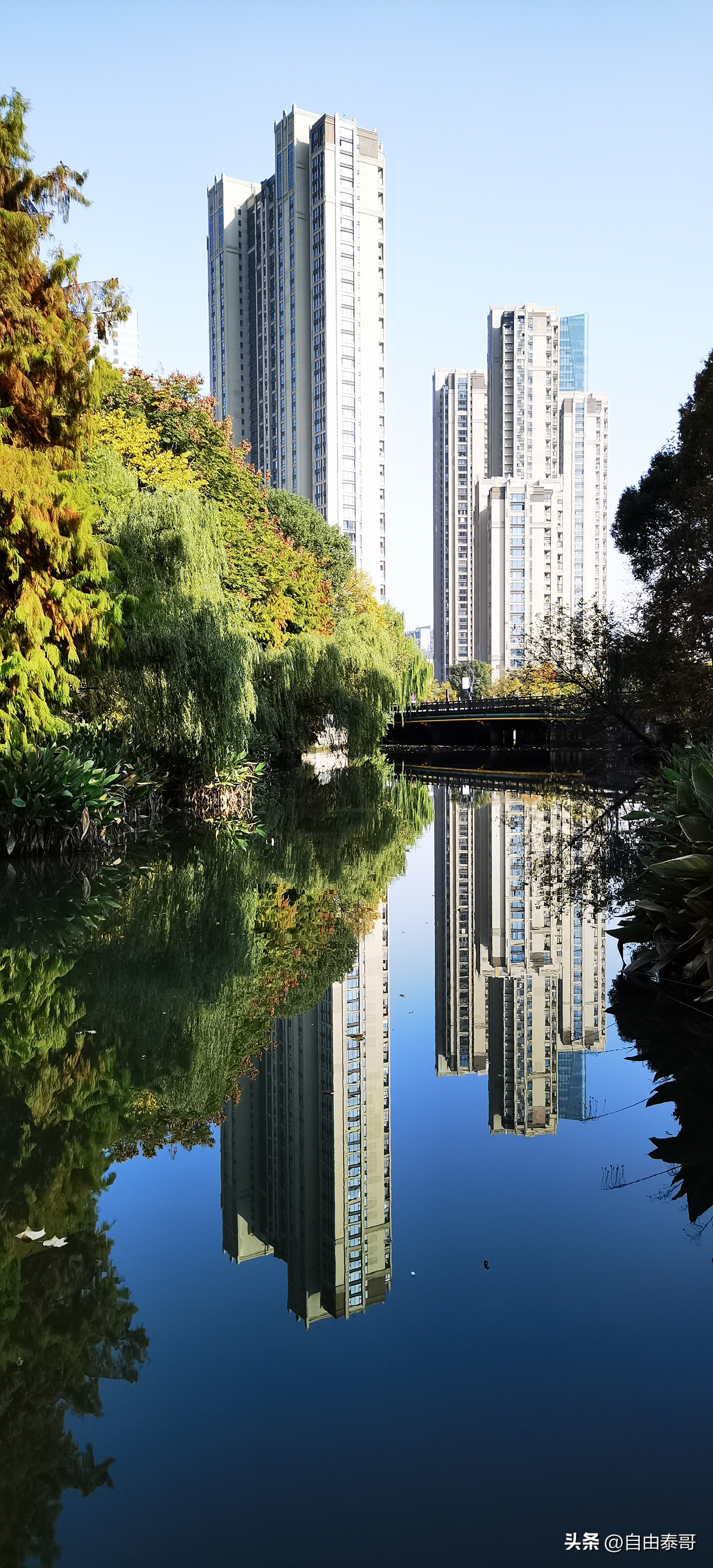 临平最大的亲水公园,临平最好公园排名