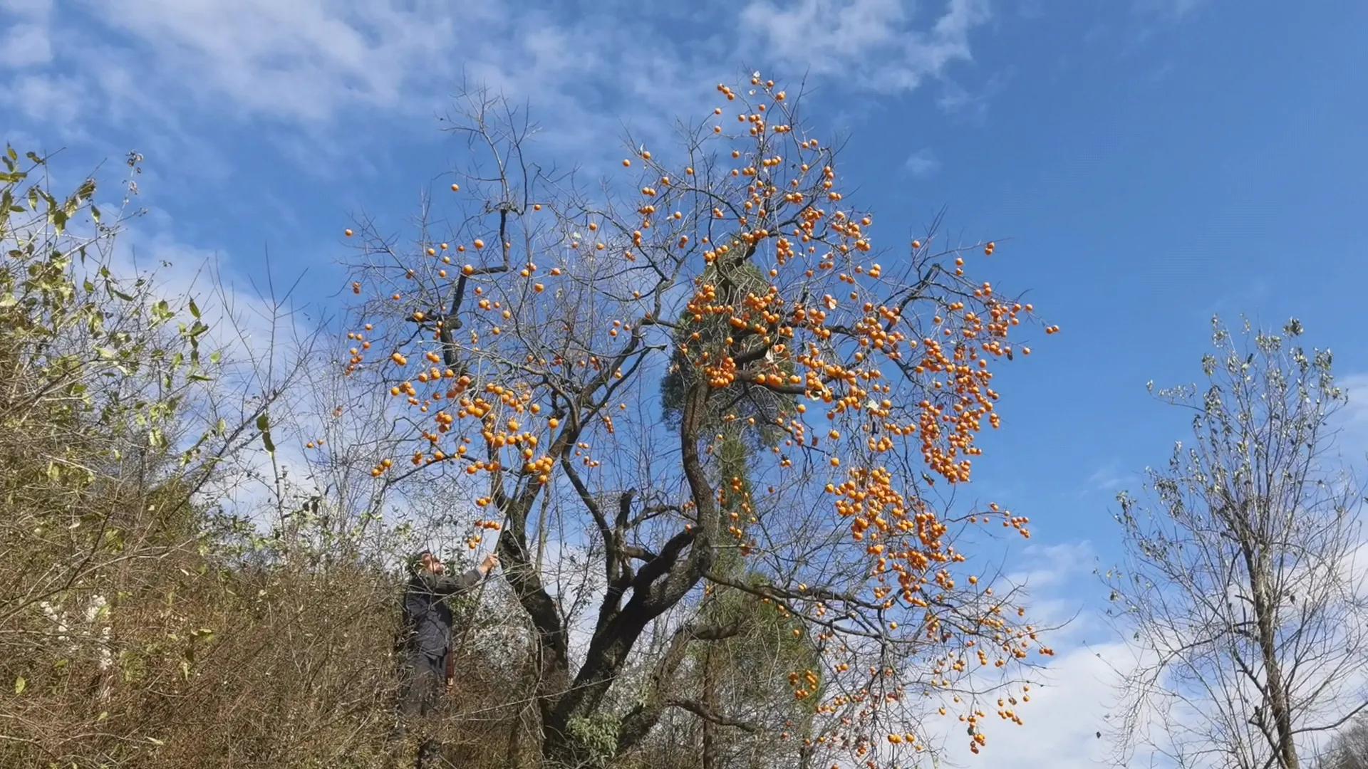 哪一句古诗词是你的座右铭,古诗词经典唯美名句座右铭