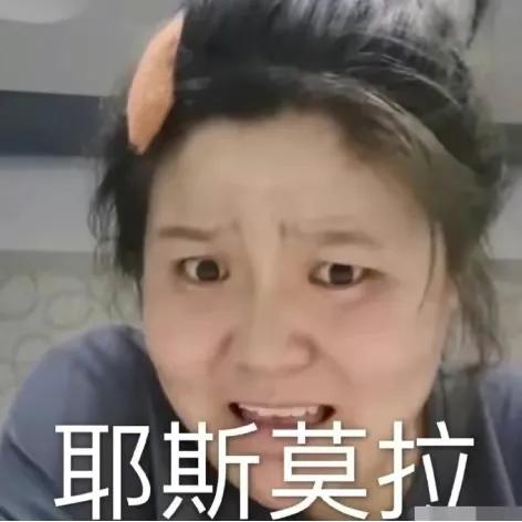 装疯卖傻网红,装疯卖傻的网红