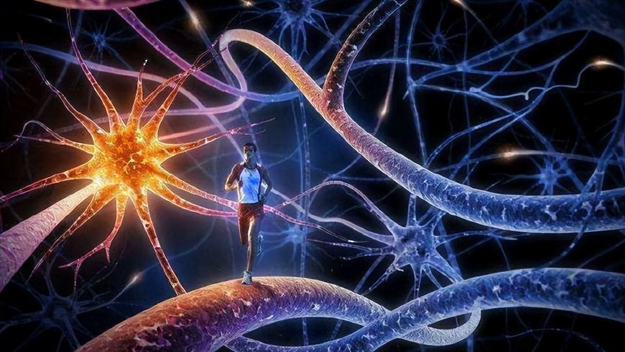 女性也有功能障碍吗,女人有难言的苦说也说不尽