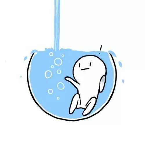 实事求是的求是什么意思,实事求是求真理