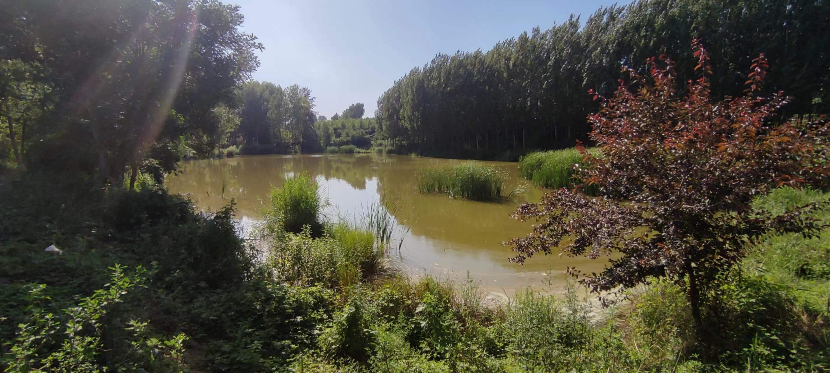 古中国考出彭蠡泽｜张笔魁