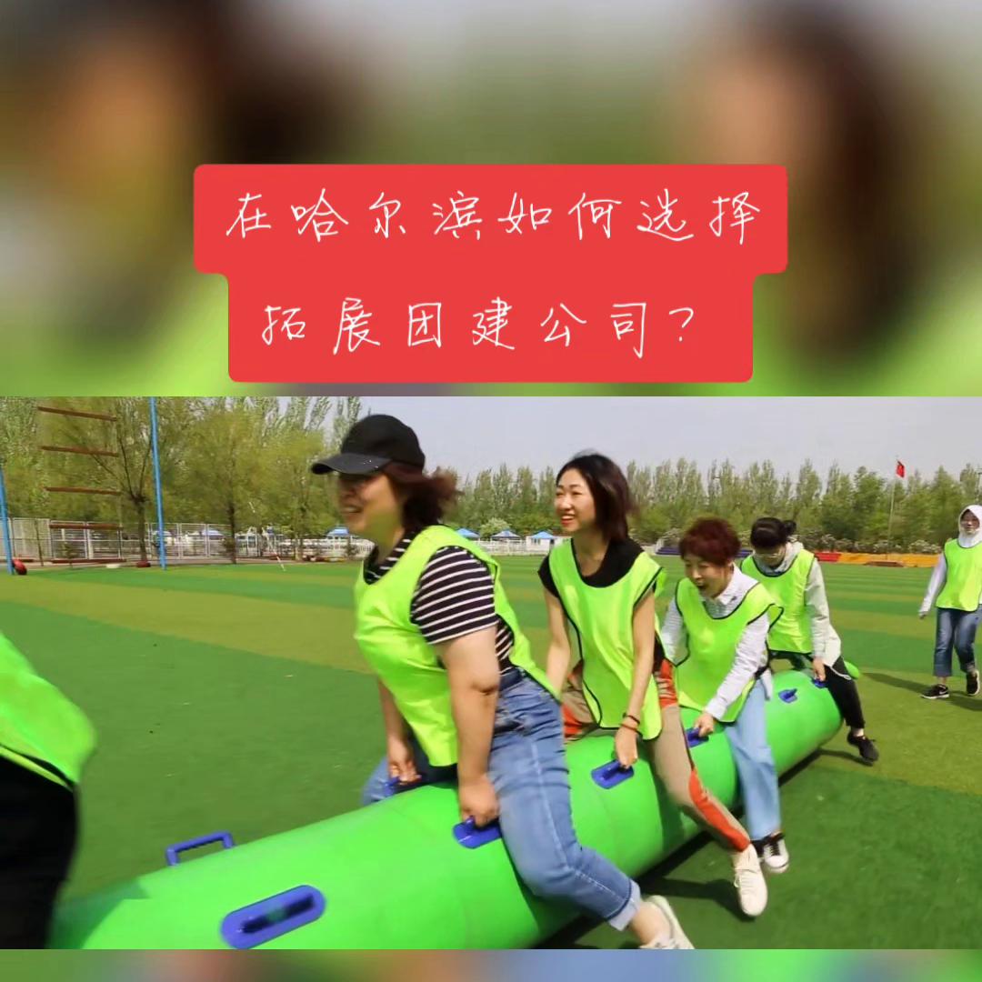 提升团队精神的团建方案,团建活动提升凝聚力的项目