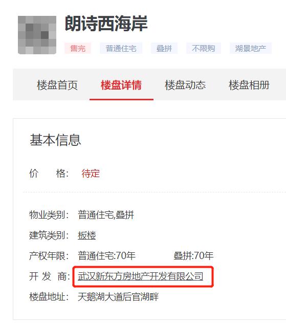 武汉最坑的五个楼盘,武汉有哪些中介坑人