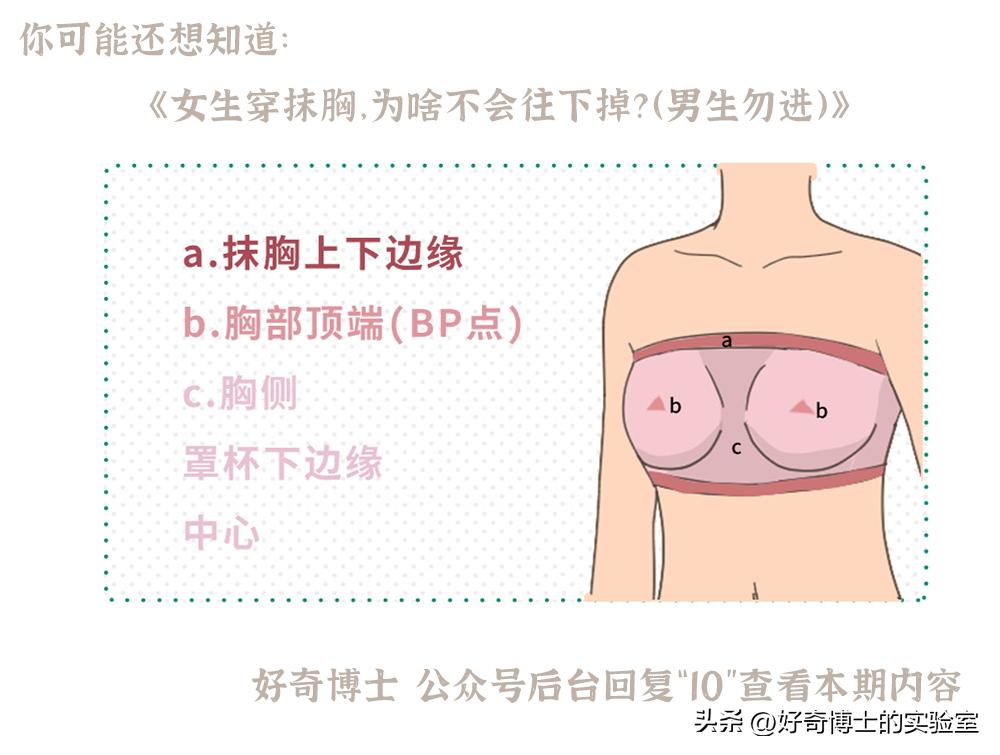 女生的胸，为什么忽软忽硬？（男生禁入）