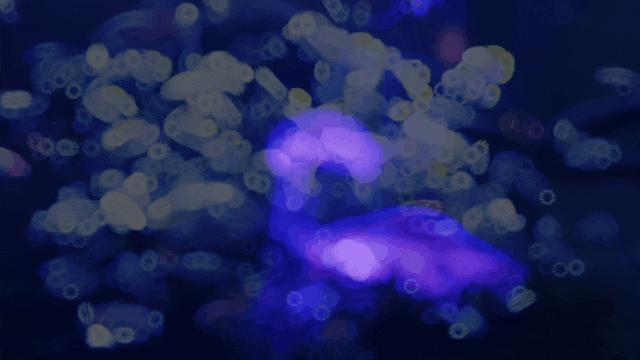 学生特惠票19.9元一票畅玩,暑期特惠88观光儿童票