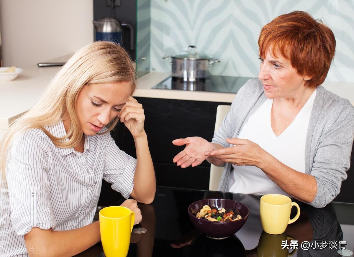 儿媳向婆婆告状电视剧剧情,儿媳妇告状全文